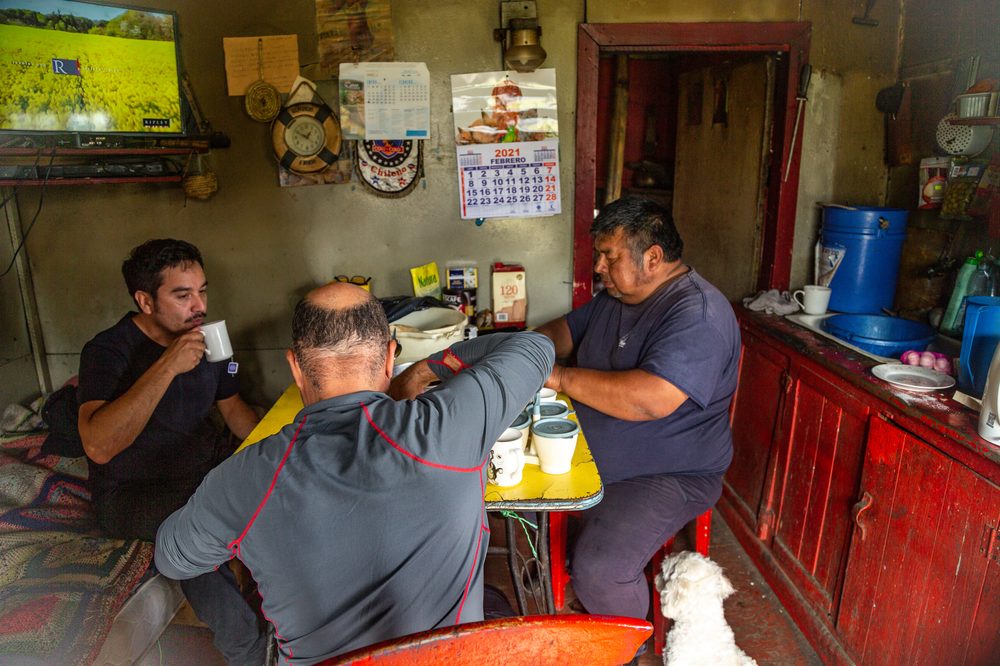 Capacitación y transferencia